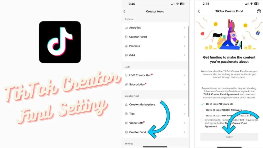 TikTok Creator Fund settings